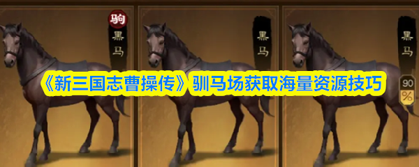 《新三国志曹操传》驯马场获取海量资源技巧