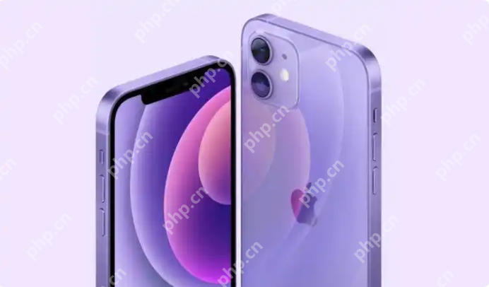 iPhone 17系列购买指南，首发尝鲜还是大促捡漏？ - 菜鸟下载