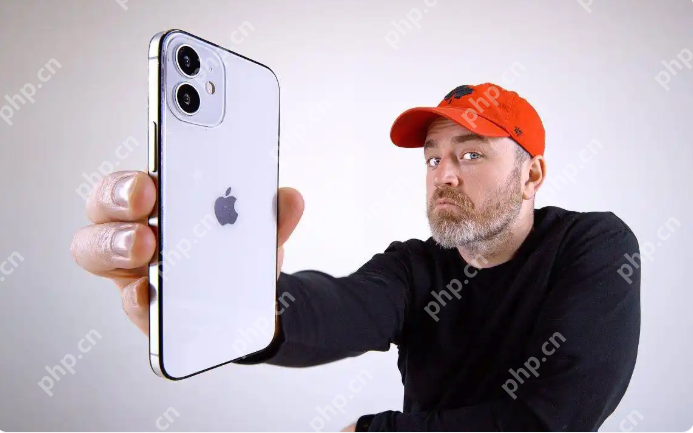 iPhone 17系列购买指南，首发尝鲜还是大促捡漏？ - 菜鸟下载