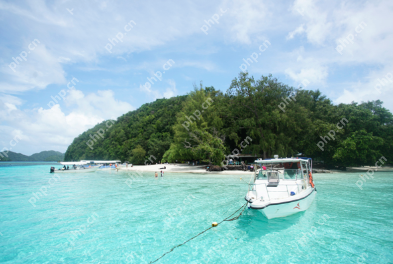旅游才是断舍离的最佳时期是怎么回事？详细介绍 - 菜鸟下载