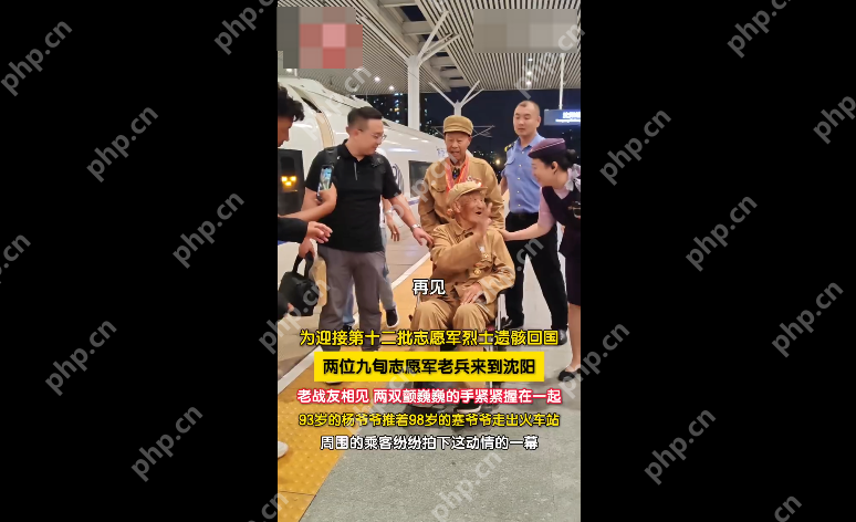 93岁老兵推着98岁老兵一起：两代老兵的生死赴约 - 菜鸟下载