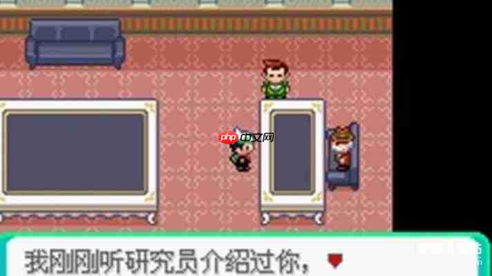 口袋妖怪rom下载大全：GBA/NDS中文版游戏免费获取