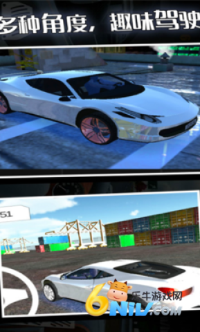 疯狂赛车手正版