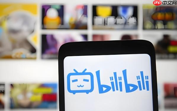 bilibili怎么查看自己的禁言记录_Bilibili账号禁言历史记录查询方法