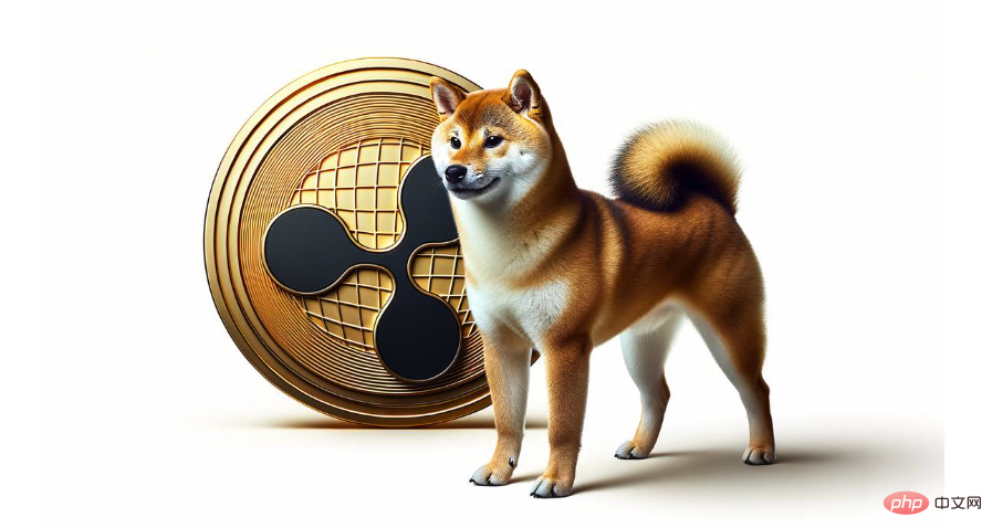 1740555605274974.png