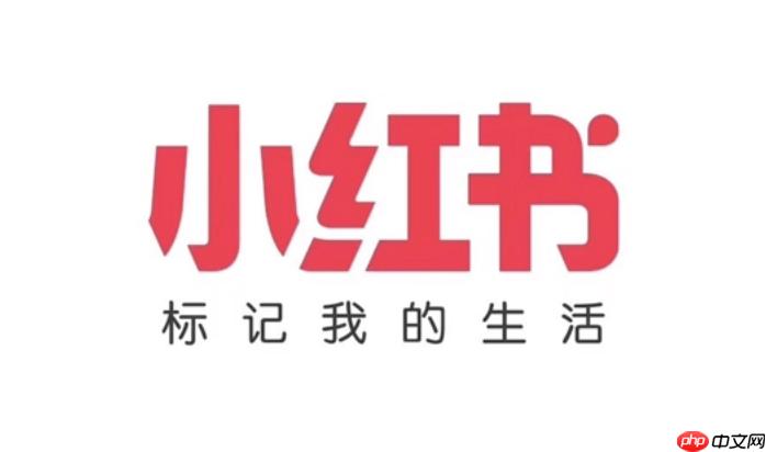 小红书蒲公英入口怎么找_小红书蒲公英网页版入口地址