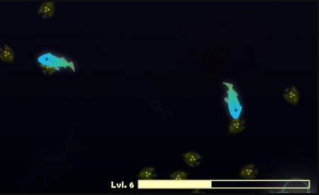 主播同款小猫钓鱼