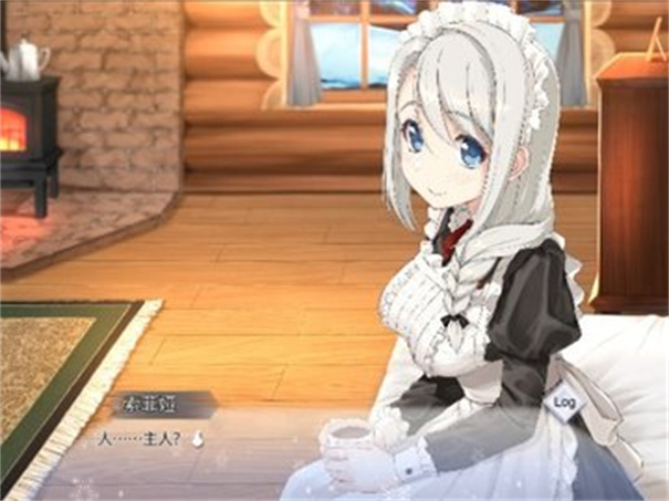 我与索菲亚的秘密