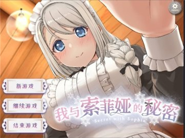 我与索菲亚的秘密