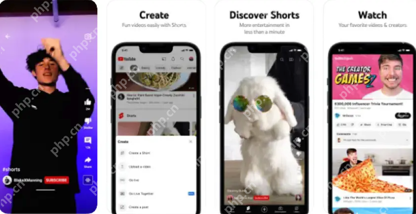 TikTok国际版官方入口直达 TikTok国际版快速登录地址 - 菜鸟下载