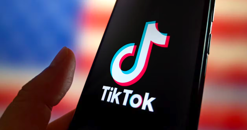 TikTok国际版官方入口直达 TikTok国际版快速登录地址 - 菜鸟下载