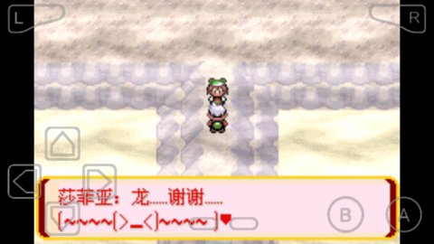 口袋妖怪迷失夜6