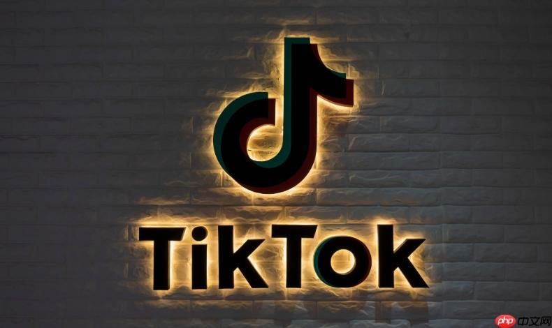 TikTok视频在线观看入口 TikTok免费看视频在线入口