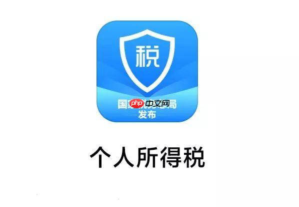 个人所得税app缴税记录怎么导出来_个人所得税APP缴税记录导出方法