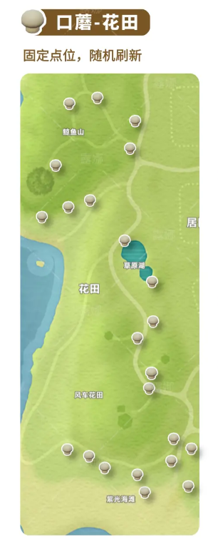 《心动小镇》全蘑菇收集点位介绍