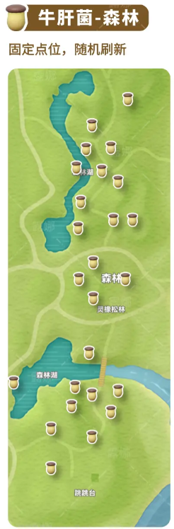 《心动小镇》全蘑菇收集点位介绍