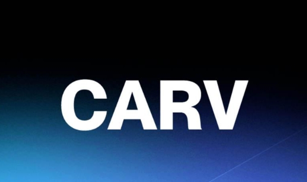 CARV 币是什么币种？