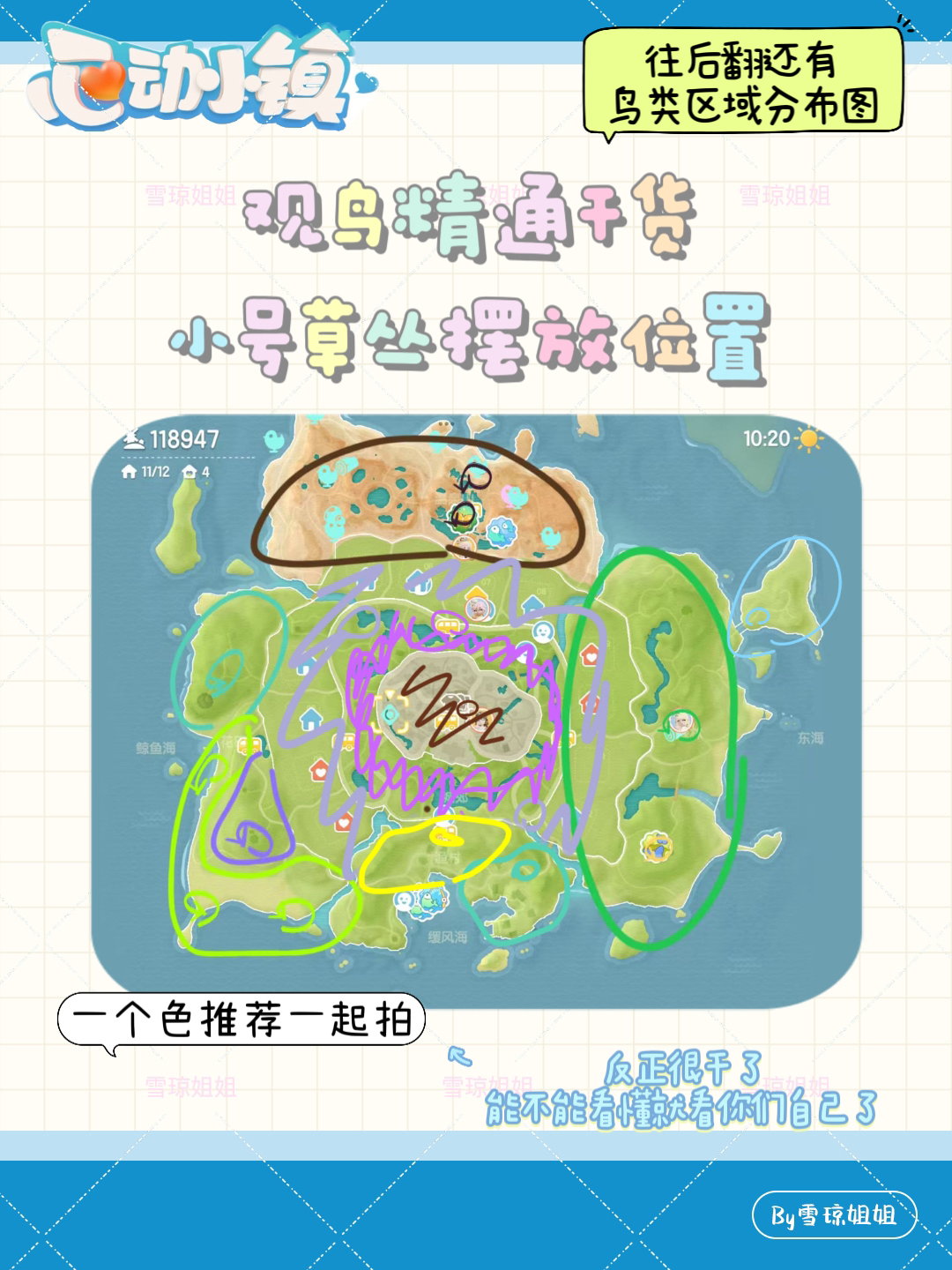 《心动小镇》观鸟区域分布总览及精通攻略