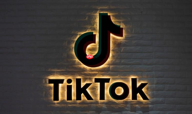 Tiktok官网网址  Tiktok官网链接