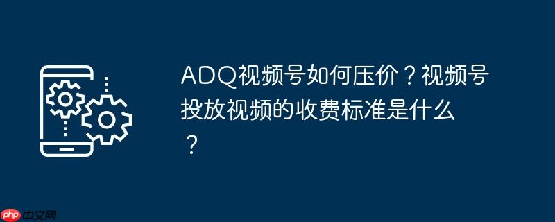 ADQ视频号如何压价？视频号投放视频的收费标准是什么？