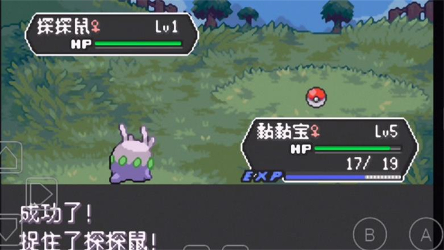 精灵宝可梦龙之石3