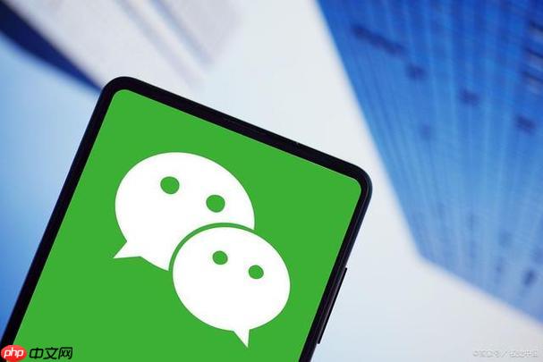 微信文件传输助手如何高效使用_微信文件传输助手功能详解