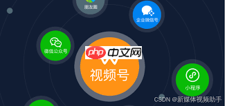 微信视频号互动功能如何关闭