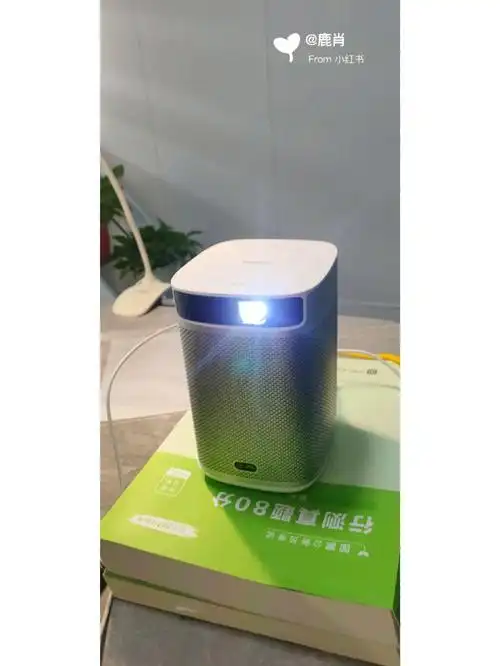 极米newplay特别版需不需要换灯泡