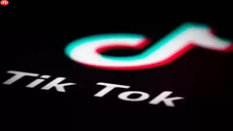 TikTok视频播放异常退出如何处理