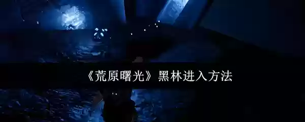 《荒原曙光》黑林进入方法