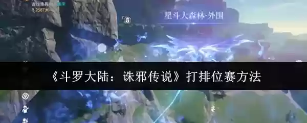 《斗罗大陆:诛邪传说》打排位赛方法