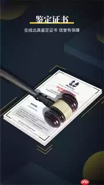 鉴定师APP怎么修改密码_鉴定师APP密码修改与安全设置步骤
