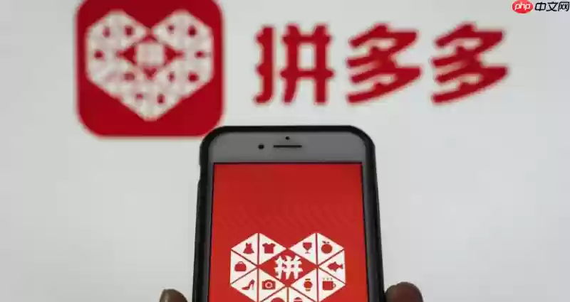 拼多多支付异常怎么办