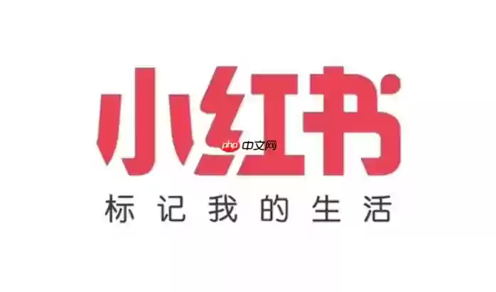 小红书网页版在线使用 小红书官网入口