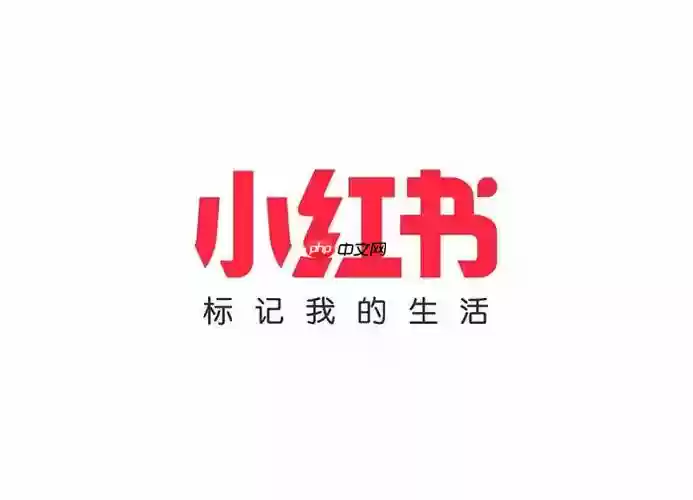 小红书千帆APP有电脑版吗_小红书千帆APP电脑端使用情况说明