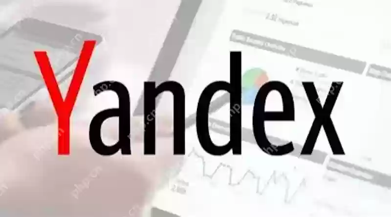 Yandex俄罗斯搜索引擎官网 Yandex免登录官方首页一键直达 - 菜鸟下载