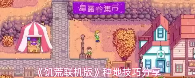 《饥荒联机版》种地技巧分享