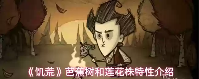 饥荒芭蕉树和莲花株有什么作用