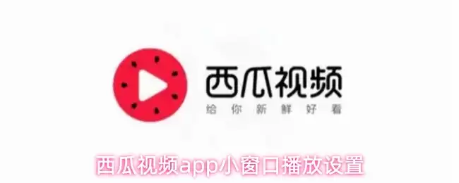 西瓜视频app小窗口播放设置