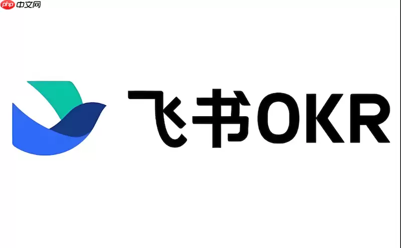 飞书直播无法开启怎么办 飞书直播权限与操作技巧