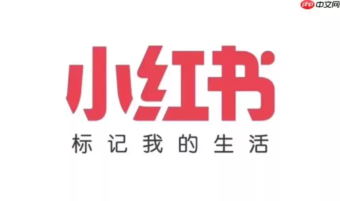 小红书评论加载慢怎么办 小红书评论刷新与优化方法