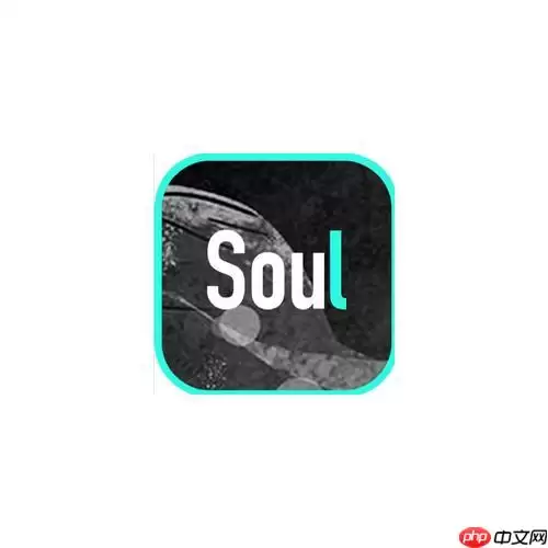 Soul怎么快速匹配好友_Soul快速匹配好友实用技巧
