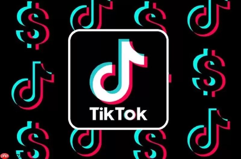 TikTok粉丝消息收不到怎么办 TikTok粉丝消息接收修复技巧