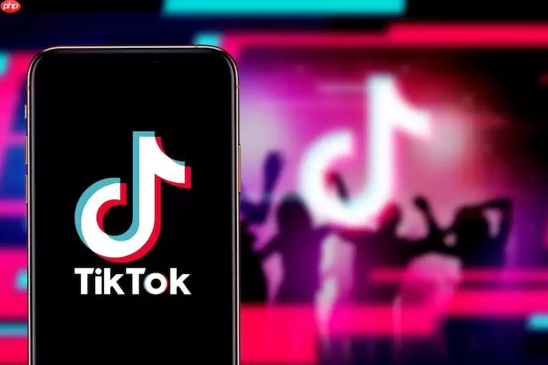 TikTok搜索不到用户怎么办 TikTok用户搜索优化与修复方法