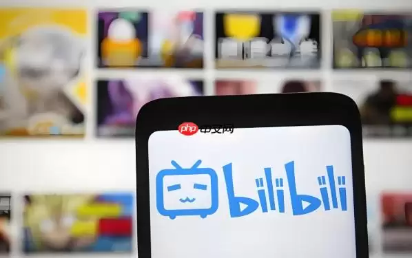 Bilibili登录页面 Bilibili官网网址