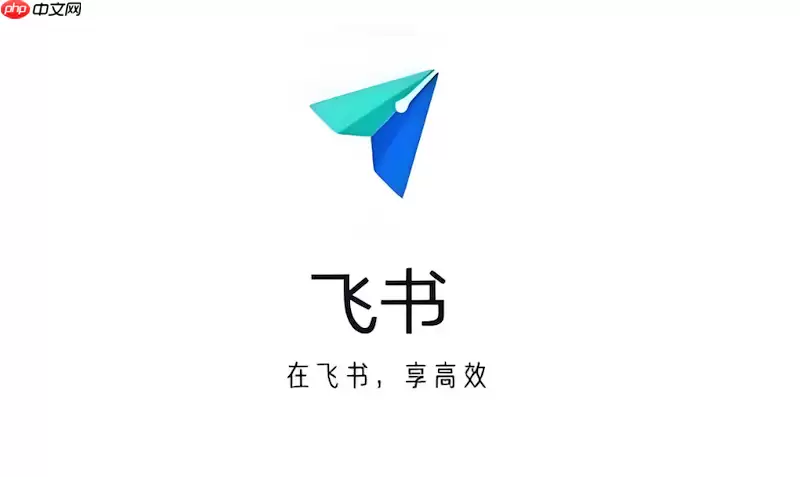 飞书群消息无法发送怎么办 飞书群聊消息异常修复方法