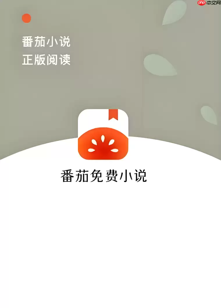 番茄免费小说打不开了是什么原因_番茄免费小说无法打开原因分析
