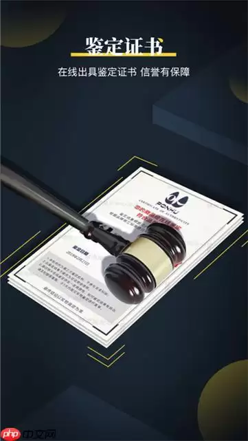 鉴定师APP如何申请复议_鉴定师APP结果异议与重新鉴定流程