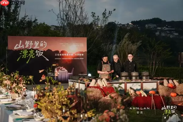 安岚推出