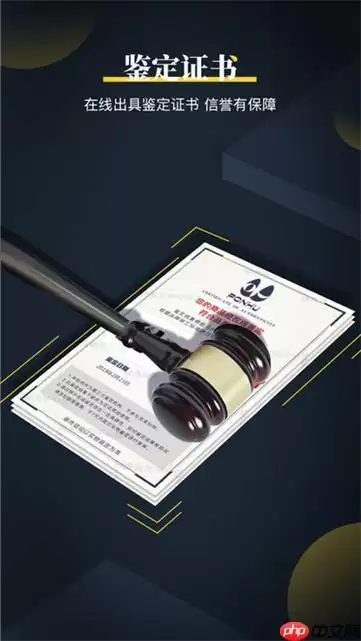 鉴定师APP怎么进行估价_鉴定师APP物品估价与市场参考方法
